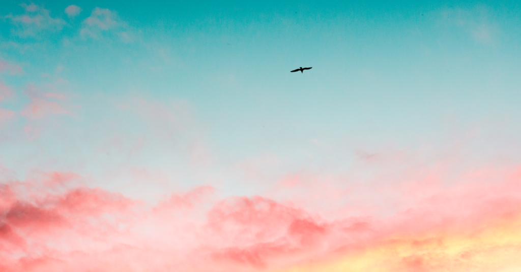 空の落ち着く風景